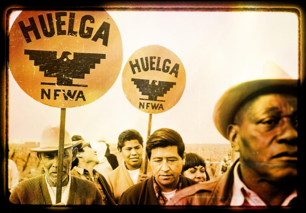 Photo of Cesar Chavez marching and huelga signs