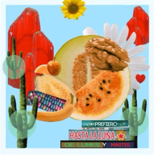 Collage with images of cacti, fruit and sunflowers.
