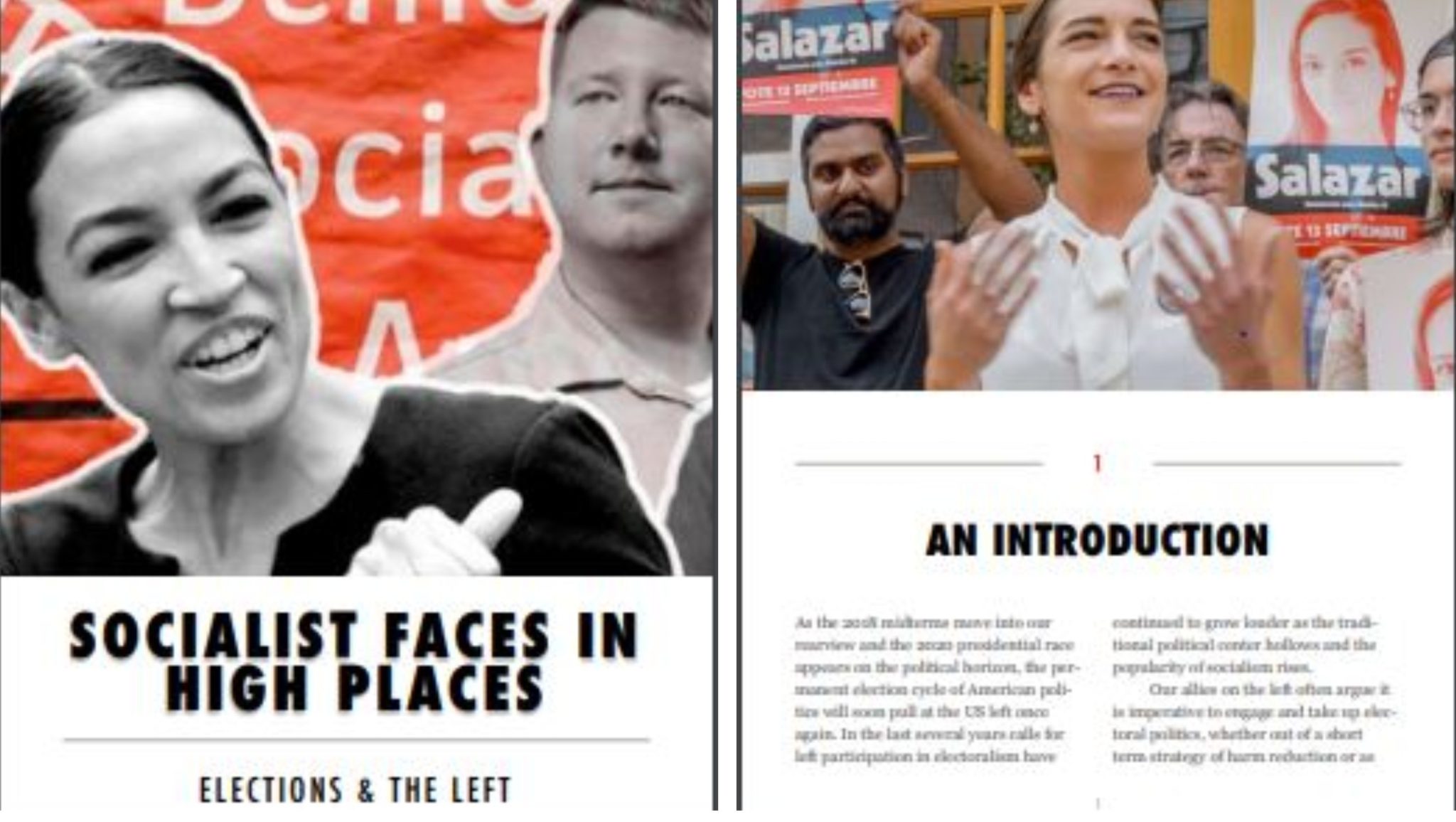 Socialist Faces in High Places: Elections & the Left